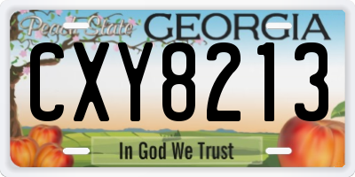 GA license plate CXY8213