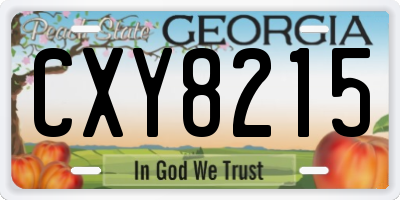 GA license plate CXY8215