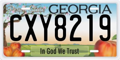GA license plate CXY8219