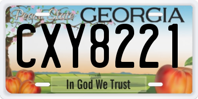GA license plate CXY8221