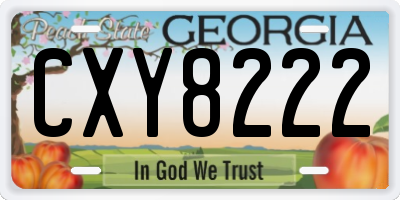 GA license plate CXY8222