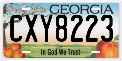 GA license plate CXY8223