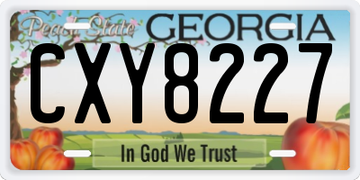 GA license plate CXY8227