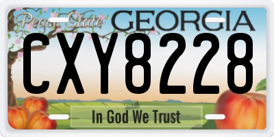 GA license plate CXY8228