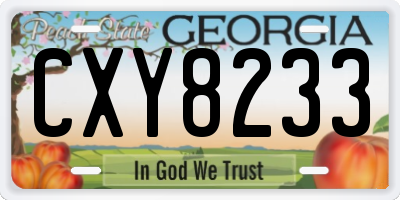 GA license plate CXY8233