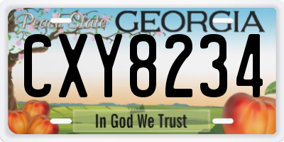 GA license plate CXY8234