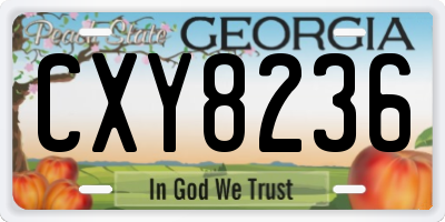 GA license plate CXY8236