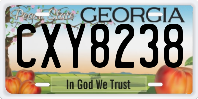 GA license plate CXY8238