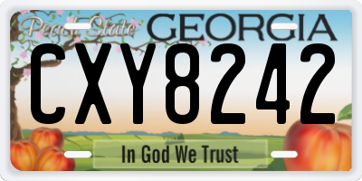 GA license plate CXY8242