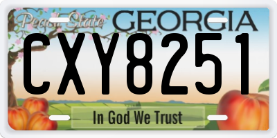 GA license plate CXY8251