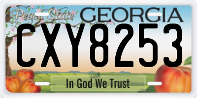 GA license plate CXY8253