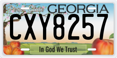 GA license plate CXY8257