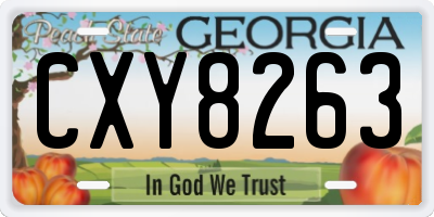 GA license plate CXY8263