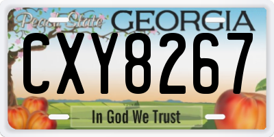 GA license plate CXY8267
