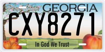 GA license plate CXY8271