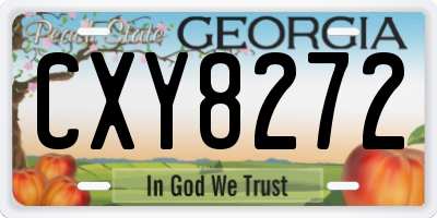 GA license plate CXY8272