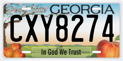 GA license plate CXY8274