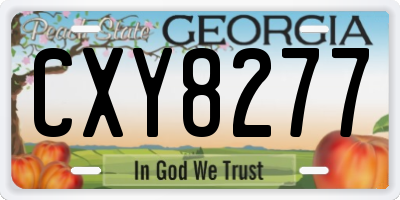 GA license plate CXY8277