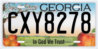 GA license plate CXY8278
