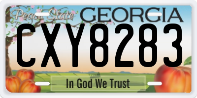 GA license plate CXY8283