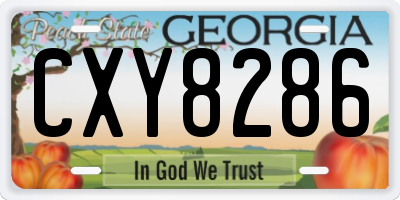 GA license plate CXY8286