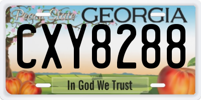 GA license plate CXY8288
