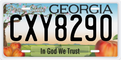 GA license plate CXY8290
