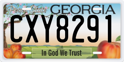 GA license plate CXY8291