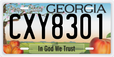 GA license plate CXY8301