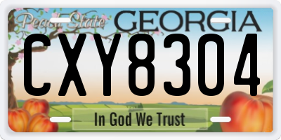 GA license plate CXY8304