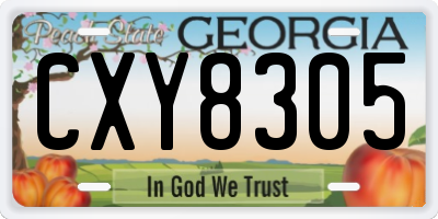 GA license plate CXY8305