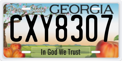 GA license plate CXY8307