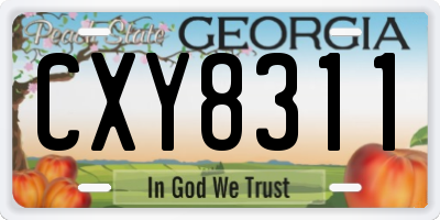 GA license plate CXY8311