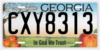 GA license plate CXY8313