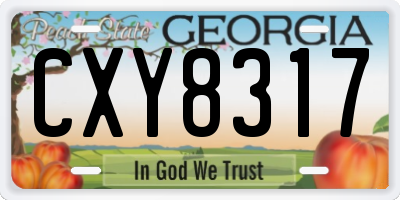 GA license plate CXY8317