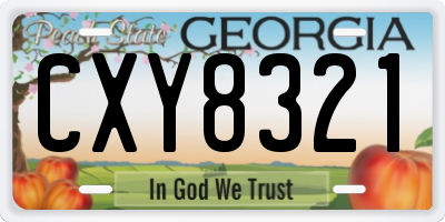 GA license plate CXY8321