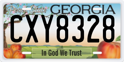 GA license plate CXY8328