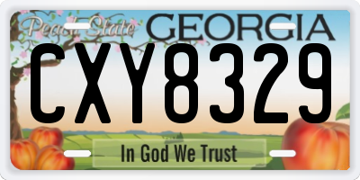GA license plate CXY8329