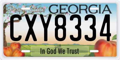 GA license plate CXY8334