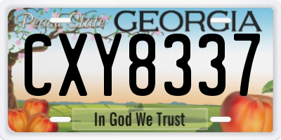 GA license plate CXY8337