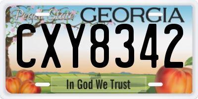 GA license plate CXY8342