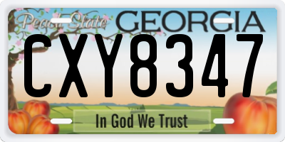 GA license plate CXY8347