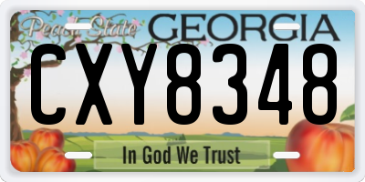 GA license plate CXY8348