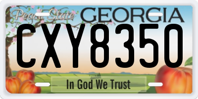 GA license plate CXY8350