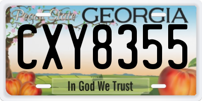 GA license plate CXY8355