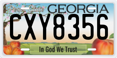 GA license plate CXY8356