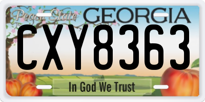 GA license plate CXY8363