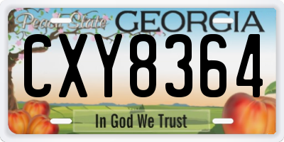 GA license plate CXY8364