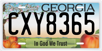 GA license plate CXY8365