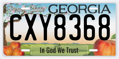 GA license plate CXY8368